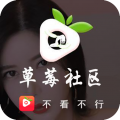 草莓app无限观看版