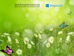 绿茶系统Ghost Win10 64位安全装机版 V2021.12