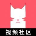 猫咪社区官方版