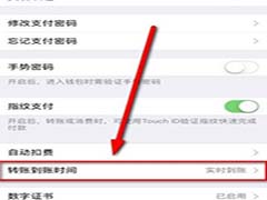 微信设置延迟转账方法