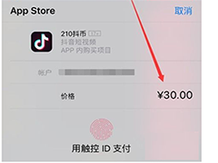 苹果手机如何充值抖音抖币