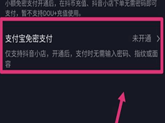 抖音如何设置免密支付