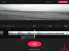 剪映录需要怎么操作音