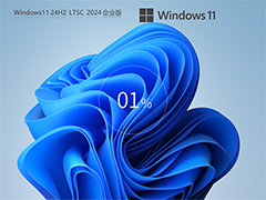 Windows11系统24H2.LTSC.2024 企业版