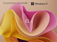 Windows11系统22631.4169.64位 官方正式版