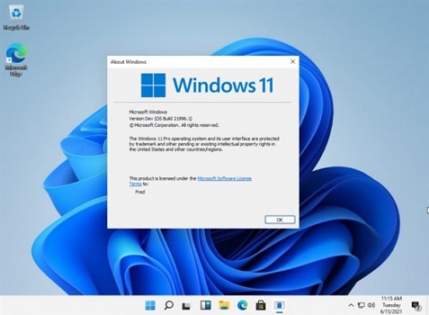 Windows11设置右下角显示怎么弄？win11设置右下角显示教程