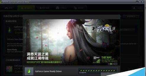 windows10系统更新NVIDIA英伟达显卡驱动的步骤5