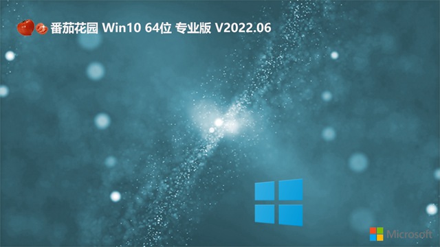 番茄花园win10 64位专业版 V2022.06