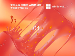 番茄花园 Win11系统 64位官方版 V2022.06