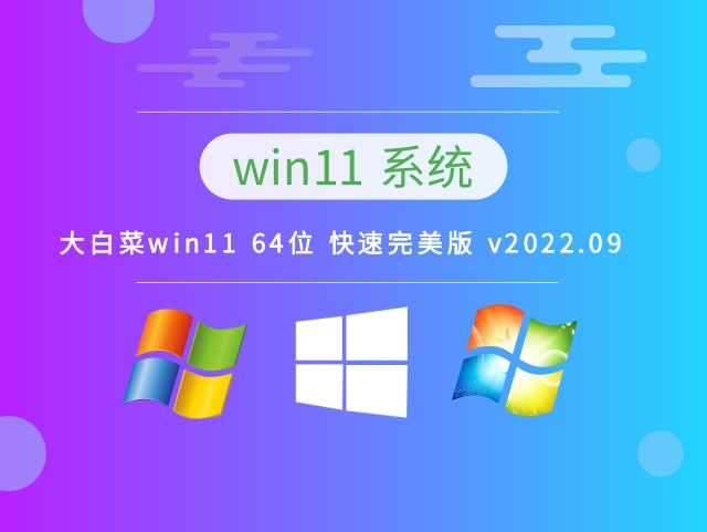 大白菜win11系统64位快速完美版 V2022.09