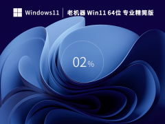 老机器专用Win11系统22H2 64位专业精简版 V2023