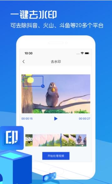 视频去水印助手