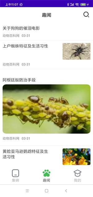 精彩动物世界