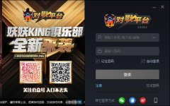 11对战平台官方安装版 V2.0.25.21